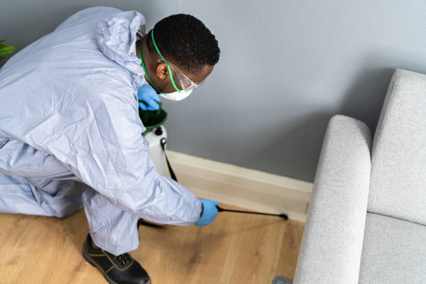 Best Real Estate Pest Inspections  in Summersville, WV